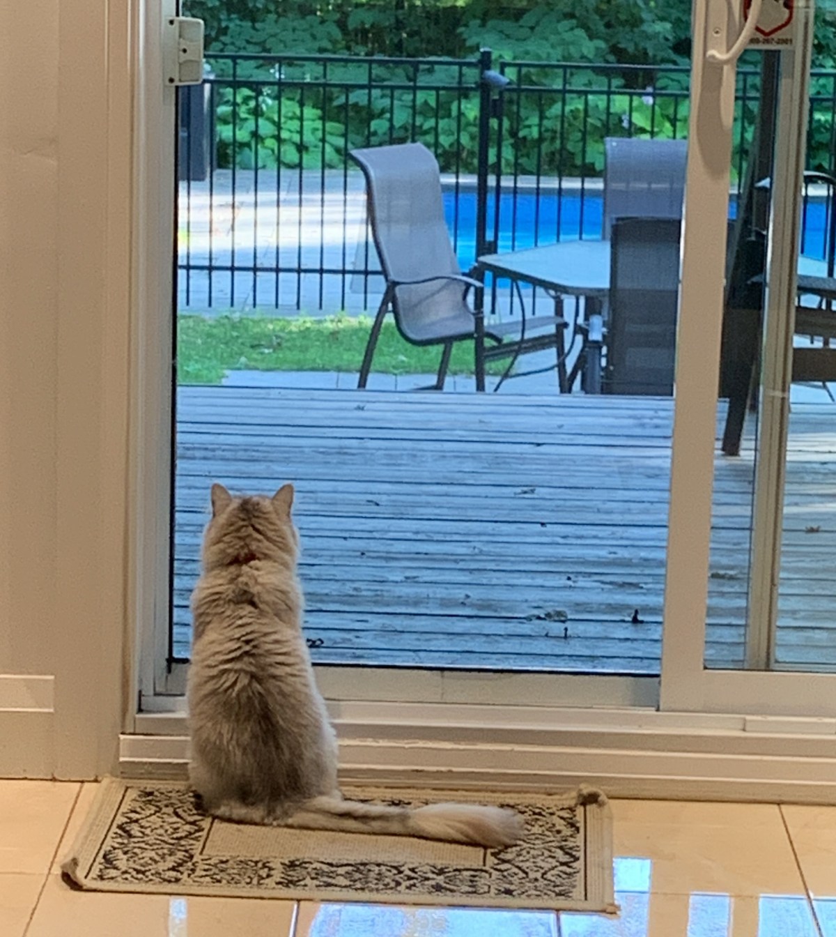 Back in North&nbsp;America